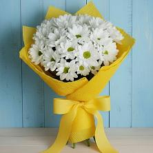 Букет цветов из:  Хризантемы в Ермолино Новгородская область