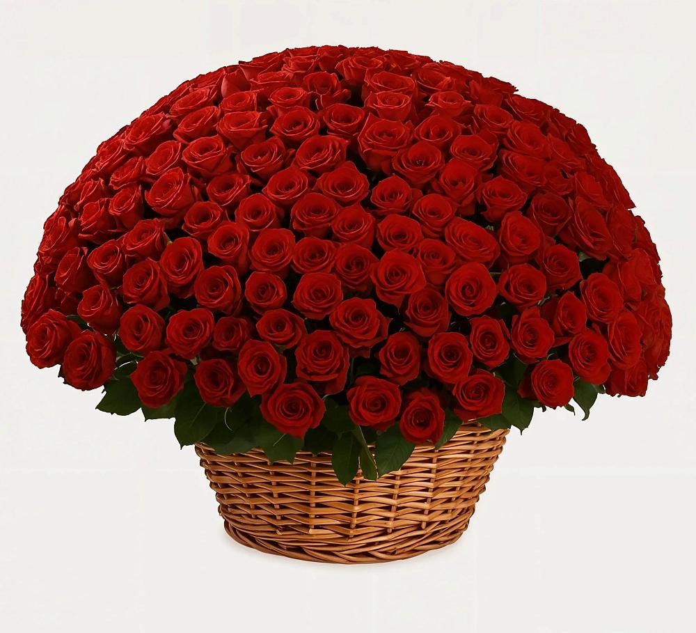 Премиум букет из: Розы в Ермолино Новгородская область