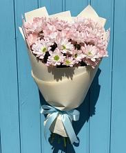 Букет цветов из:  Хризантемы в Ермолино Новгородская область