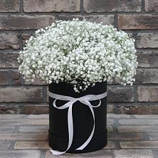 Цветочная композиция из Гипсофила в шляпной коробке в Ермолино Новгородская область