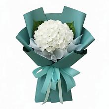 Букет цветов из:  Гортензия в Ермолино Новгородская область